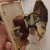 IMG_20191027_165656.jpg