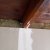 20240320_121228_resized.jpg