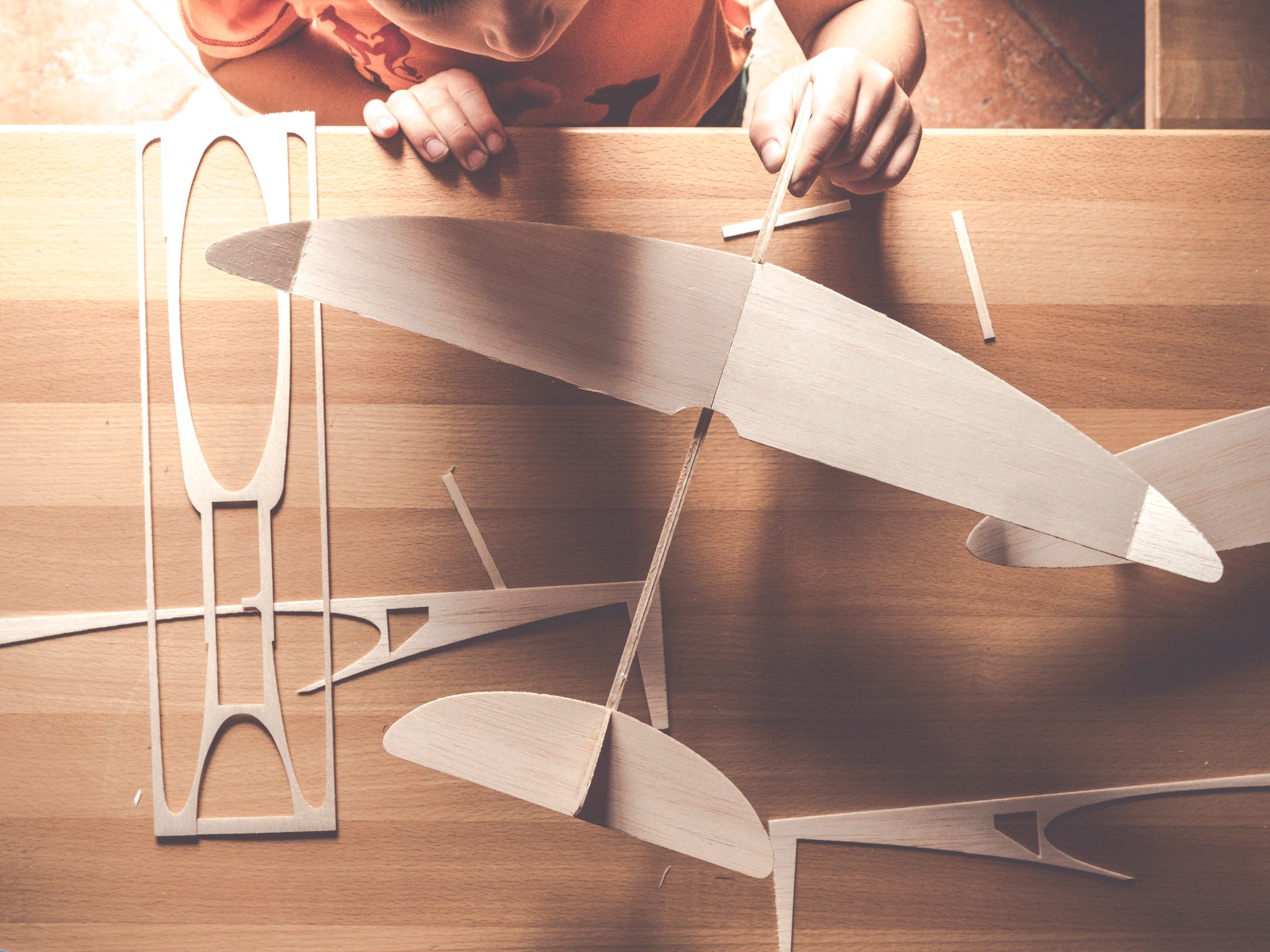 Tout savoir sur le bois balsa — free download