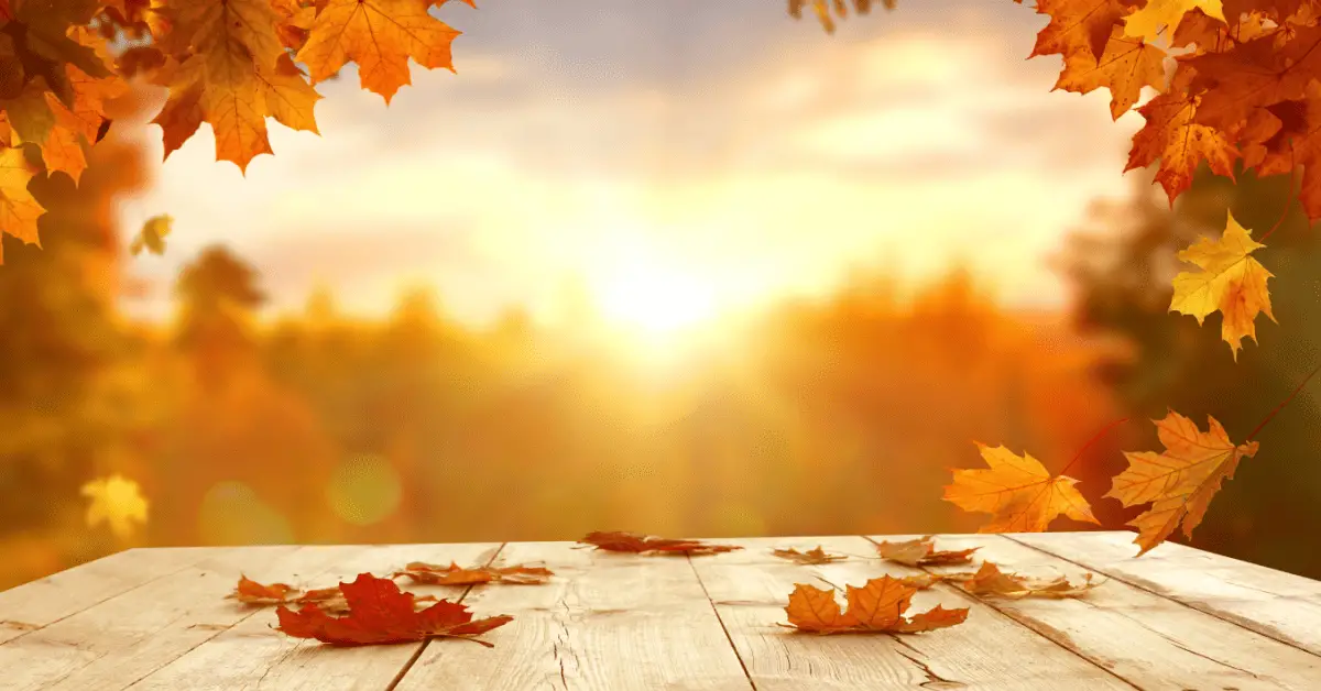 Feuilles d'érable d'automne tombant sur une table en bois
