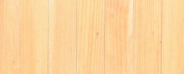 Zoom sur la structure d'un panneau de bois clair