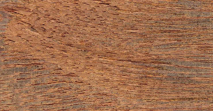 Zoom sur la texture d'un bois de sucupira