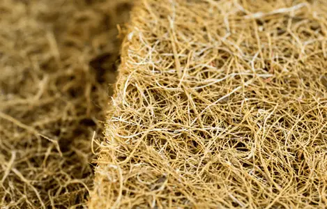 Fibre de coco prêt à l'emploi