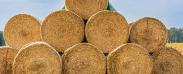 Une pile de balles de paille au bord d'un champ