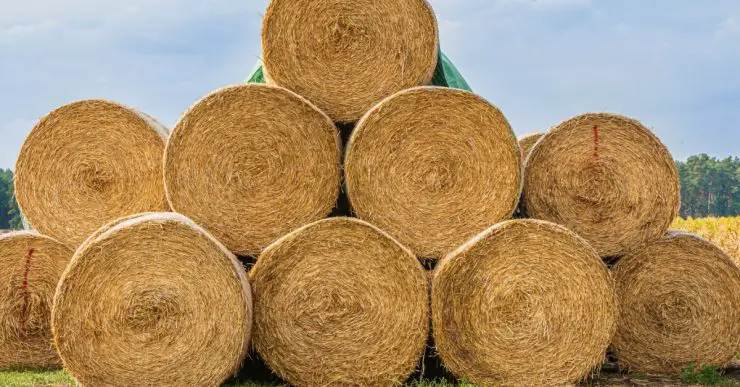 Une pile de balles de paille au bord d'un champ