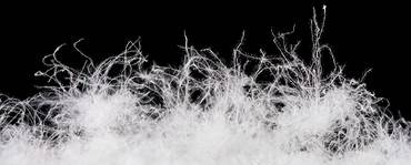 Zoom sur des plumes blanches sur un fond noir