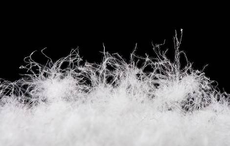 Zoom sur des plumes blanches sur un fond noir