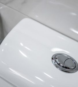 Gros plan sur le bouton pressoir à double commande du WC