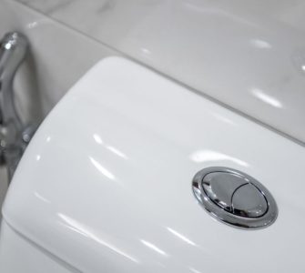 Gros plan sur le bouton pressoir à double commande du WC