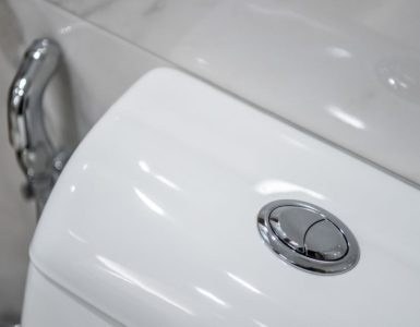 Gros plan sur le bouton pressoir à double commande du WC