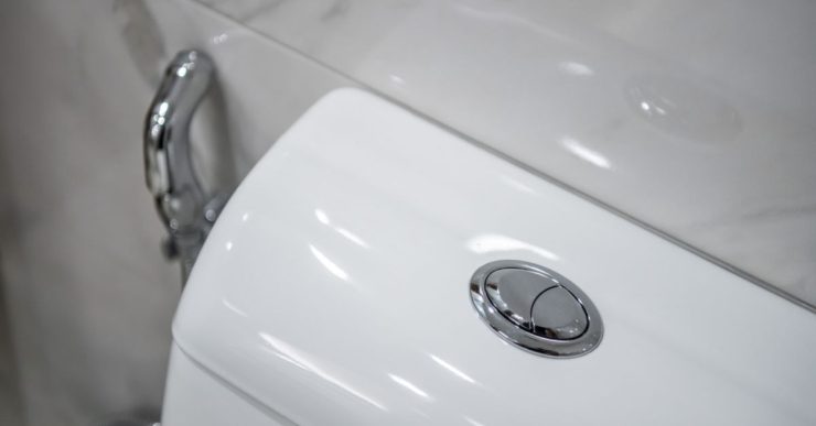 Gros plan sur le bouton pressoir à double commande du WC