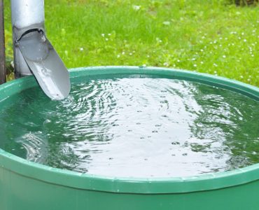 Récupération de l'eau de pluie dans une cuve verte