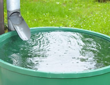 Récupération de l'eau de pluie dans une cuve verte