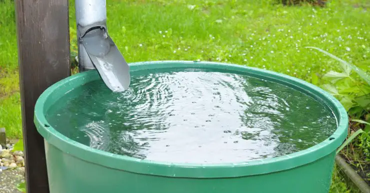 Récupération de l'eau de pluie dans une cuve verte