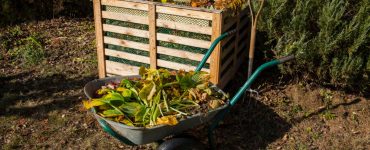 Un bac à compost et une brouette remplie de déchets organiques dans le jardin