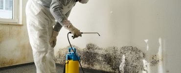 Un homme en combinaison blanche pulvérise un produit pour traiter les moisissures sur un mur