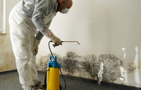 Un homme en combinaison blanche pulvérise un produit pour traiter les moisissures sur un mur