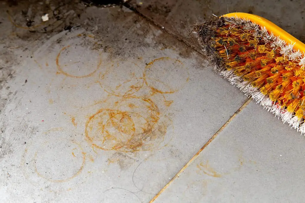 Souvent localisées sur la terrasse, les taches de rouilles sont dues au contact prolongé d'un objet en fer (comme les pieds d'une chaise ou d'une table) sur le sol