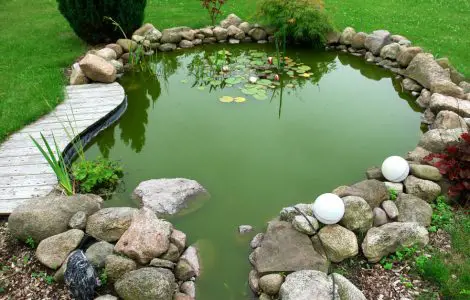 Un petit étang de jardin au milieu de la pelouse