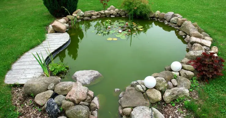 Un petit étang de jardin au milieu de la pelouse