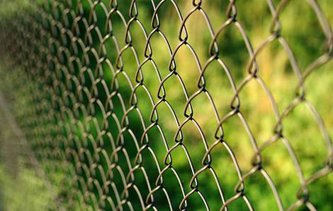 Focus sur une clôture en grillage