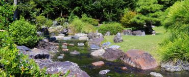 Un petit cours d'eau dans le jardin