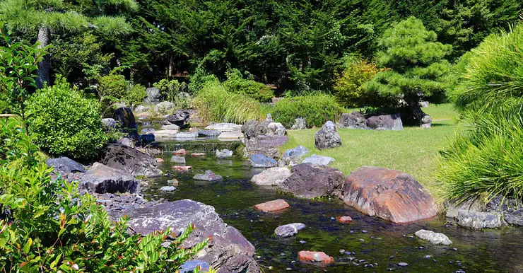 Un petit cours d'eau dans le jardin