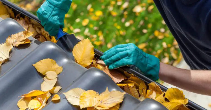 Zoom sur un homme en gants bleus enlevant les feuilles mortes sur une gouttière