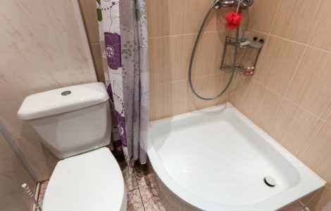 Petite salle de bain avec WC et bac de douche