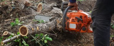 Un homme découpant le reste d’un arbre abattu à l’aide d’une tronçonneuse