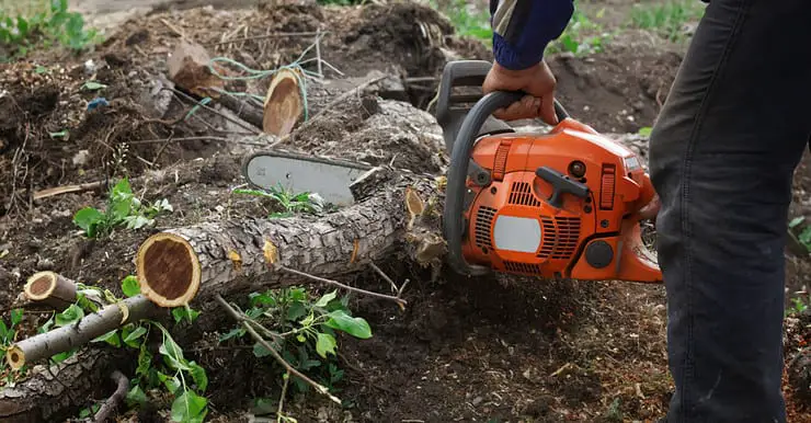 Un homme découpant le reste d’un arbre abattu à l’aide d’une tronçonneuse