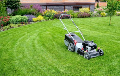 Une tondeuse à gazon au milieu d'une pelouse verdoyante