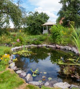 Jardin avec bassin et une cabane au fond