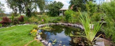 Jardin avec bassin et une cabane au fond