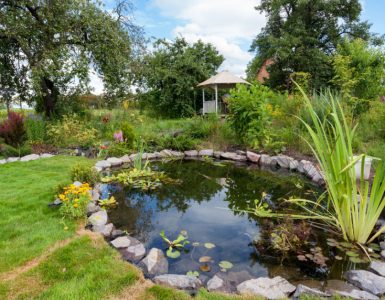 Jardin avec bassin et une cabane au fond