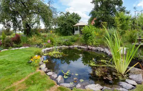 Jardin avec bassin et une cabane au fond