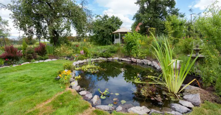 Jardin avec bassin et une cabane au fond