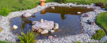 Un petit bassin entouré de cailloux et de pelouse dans le jardin