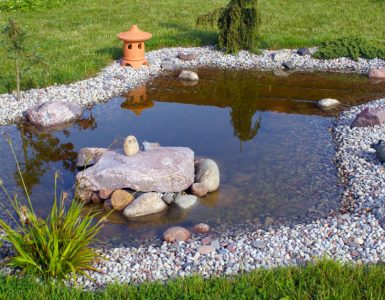 Un petit bassin entouré de cailloux et de pelouse dans le jardin