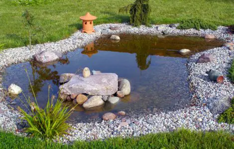 Un petit bassin entouré de cailloux et de pelouse dans le jardin