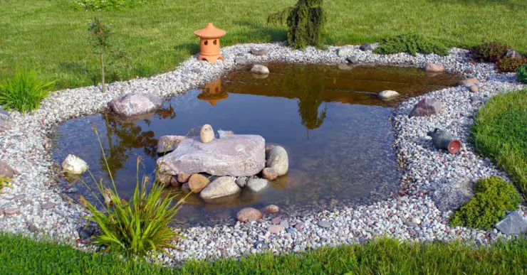 Un petit bassin entouré de cailloux et de pelouse dans le jardin