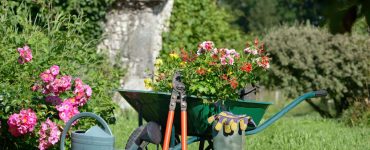 Différents outils de jardinage et des fleurs posés dans le jardin