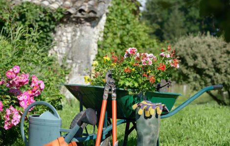 Différents outils de jardinage et des fleurs posés dans le jardin