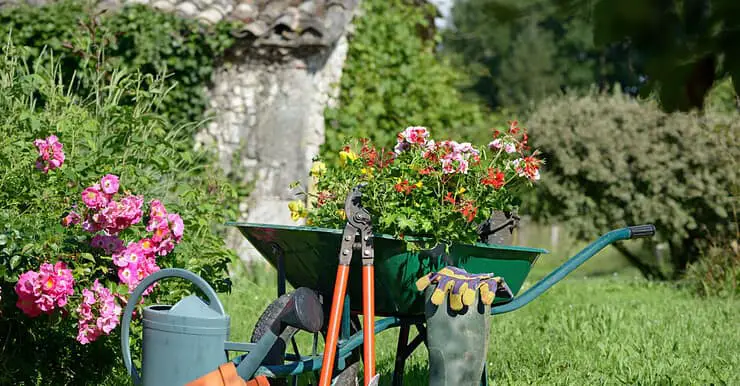Différents outils de jardinage et des fleurs posés dans le jardin