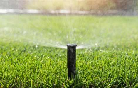 Gros plan sur le système d'arrosage automatique d'une pelouse