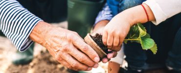 Zoom sur les mains d'un homme âgé et d'une petite fille en train de jardinier