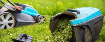 Tondeuse à gazon et bac à herbe rempli d'herbe dans le jardin