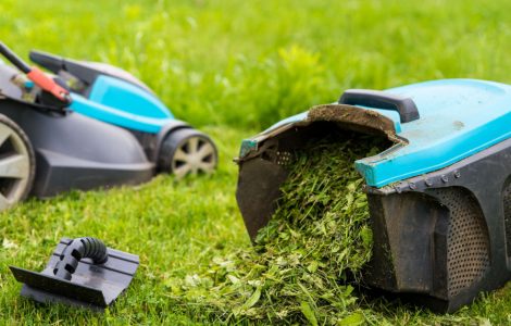 Tondeuse à gazon et bac à herbe rempli d'herbe dans le jardin