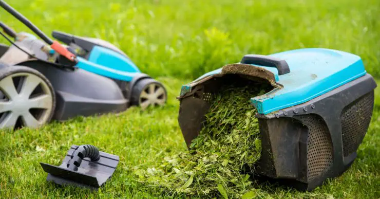 Tondeuse à gazon et bac à herbe rempli d'herbe dans le jardin