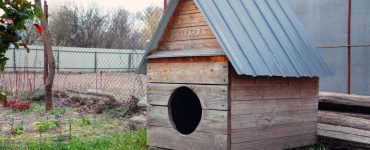 Grande niche en bois dans la cour